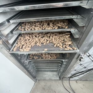 小型黄色生姜乾燥室 ボックス型ポテトチップ乾燥装置 冬の虫 夏の菌類とアスフォデル乾燥機 - Product Image 3