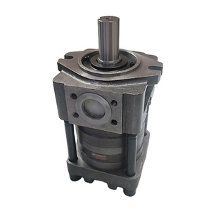 Pompe à engrenages interne hydraulique série QX QX21-012R112-Y QX83-160/61-160R261 - Product Image 1