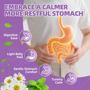 Té Frío para el Cuidado del Estómago en Bolsitas de 4g, 15 Bolsitas, Té Herbal Saludable para el Apoyo de la Erosión Gástrica Refractaria (GERD) - Product Image 3