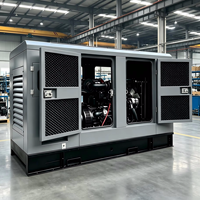 Générateur d'énergie silencieux et résistant aux basses températures 100KW 200KW 300KW 400KW 500KW
