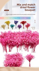 G180 Flores de Gypsophila Preservadas al por Mayor para Regalo de San Valentín, Flores Secas de Baby Breath, Baby Breath Preservado - Product Image 2