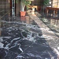 Dalles et dalles de granit blanc et noir, noir avec des veines blanches, directement de l'usine