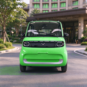 Voiture électrique urbaine à 2 places avec caméra de recul <span class=keywords><strong>et</strong></span> pneus 125 60R12 certifiée COC - Product Image 4