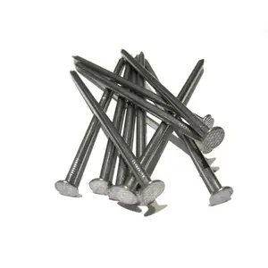 Polished Galvanized Steel Nail 1inch 2inch 3inch Common Wire Nails