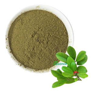Polvo de té de <span class=keywords><strong>yerba</strong></span> mate de buen sabor de alta calidad, polvo fino de hojas de <span class=keywords><strong>yerba</strong></span> mate <span class=keywords><strong>verde</strong></span> - Product Image 1