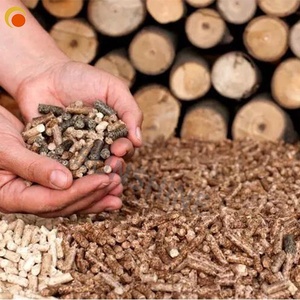 Granjeros pequeños chips <span class=keywords><strong>de</strong></span> madera biomasa <span class=keywords><strong>paja</strong></span> pellets molde plano máquina <span class=keywords><strong>de</strong></span> fabricación <span class=keywords><strong>de</strong></span> pellets <span class=keywords><strong>de</strong></span> madera - Product Image 6