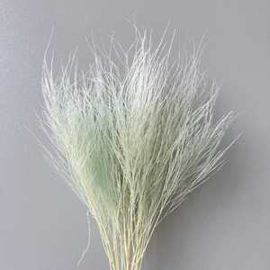 Stipa Pennata séchée romantique, herbe à plumes séchée, herbe à plumes conservée, herbe de pierre - Product Image 6