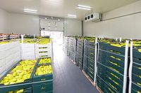 Commerciële Bananenrijpingsmachine Chambre Froide Koeleenheid Koelkamer Opslagcontainer Voor Groenten En Fruit