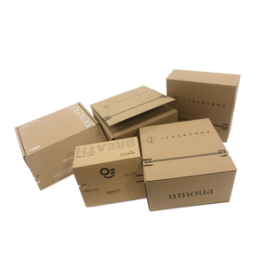 Boîte <span class=keywords><strong>de</strong></span> rangement robuste, emballage pliable, Carton ondulé, fermeture personnalisée, boîte postale à fermeture éclair - Product Image 5