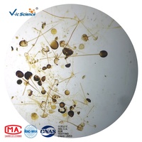 100pcs Glass Plant Tissue Prepared Microscope Slides Botany Specimen Lab Tool for Biology Teaching & Experiment