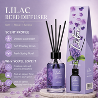Diffuseur à bâtonnets 100 ml, collection OEM, huile parfumée personnalisable avec bâtonnets en rotin pour marque privée, vente en gros