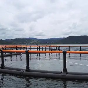 chinese supplier fish farming sea Round Cages