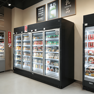 Vetrina Refrigerata con Porta in Vetro, Congelatore Verticale per Alimenti Surgelati, Armadio Commerciale per Mantenimento Freschezza in Supermercati - Product Image 2