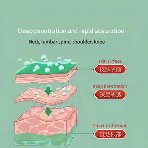 Gel naturel antidouleur à l'armoise et au ginseng pour les épaules, le cou, la taille, les jambes, les articulations et les genoux – <span class=keywords><strong>Huile</strong></span> de massage chauffante à la moxibustion – Fabriqué en Chine - Product Image 4