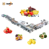 Groente- en fruitwasmachine, sorteerlijn voor radijs, borstelwasser, passievrucht, appel.