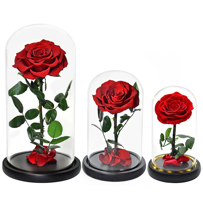 BLH Wholesale PMMA Glass Cover Of the Immortal Flower Gift Box Decor Flower For Party Best gift for Valentine's day