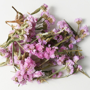 Cabezas de Flores Secas Naturales de No Me Olvides (Forget Me Not) en Oferta para Aromaterapia, Fabricación de Velas y Bolsitas Aromáticas - Product Image 2