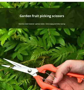 กรรไกรตัดแต่งกิ่งไม้และสวนบอนไซ C323 ทนทาน ผลิตจากสแตนเลส พร้อมสปริงรูปตัววี - Product Image 6