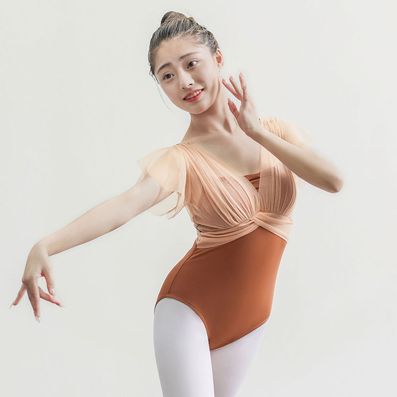 Sexy Yoga Latin Ballroom Dance Wear Mesh Women Adult Ballet Leotards - Fashionable Dance Apparel for Training & Performance Sexy Yoga Latin Ballroom Dance Wear Mesh Women Adult Ballet Leotards - Fashionable Dance Apparel for Training & Performance