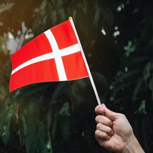 Bandiera Danese Personalizzata Nx Election Football Cup 14*21cm per Eventi Sportivi, Bandiera da Sventolare a Mano - Product Image 5
