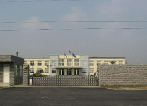 Bán Chất Lượng Tốt Nhất Men Huấn Luyện Viên Thể Dục Thiết Bị Nấm Ngựa <span class=keywords><strong>Pommel</strong></span> Ngựa - Product Image 2