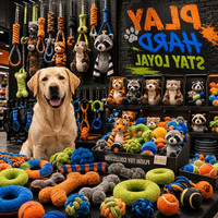 Ensemble de jouets à mâcher pour chien robustes et personnalisés, corde, anneau, os et peluche indestructibles pour l'entraînement interactif et les chiens agressifs