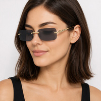 Lunettes de soleil de luxe 2026 OEM ODM sans monture, dégradées, motif léopard panthère, teintées, pour la conduite, unisexe, vente en gros, logo personnalisé, designer