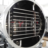 RVS automatische PLC-gestuurde tandwielmotorpomp vacuümvriesdroger voor blauwe bessen, energiebesparend voor voedselverwerking