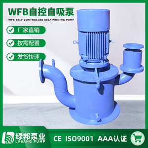 Bombas Autocebantes Verticales de Acero Inoxidable WFB Suministradas por el Fabricante, Bomba de Aguas Residuales sin Sello de Alta Capacidad de Succión - Product Image 3