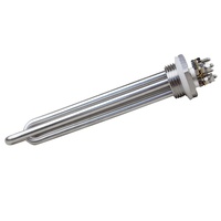 Nóng Nhất 300W 12 Volt Ngâm Nước Nóng Yếu Tố Với CE Phê Duyệt Điện Yếu Tố Sưởi Ấm