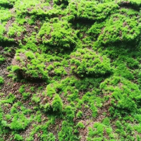 Feuille de mousse artificielle verte réaliste, tapis floqué 3D pour terrarium, bonsaï, mur végétal miniature, artisanat DIY