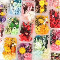 Coffret de Fleurs Séchées Stabilisées pour Art en Résine DIY, Mélange de Fleurs Séchées Naturelles Multicolores en Vrac, Kits de Matériaux