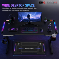 Ergonova RGB Gaming Desk with LED Lights Carbon Fiber Surface Storage Z-shaped Computer Table OEM Custom E-Sports Desk