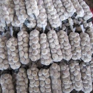 Bon fournisseur d'<span class=keywords><strong>ail</strong></span> frais <span class=keywords><strong>chinois</strong></span> 4-6.0cm 3p prix de gros d'<span class=keywords><strong>ail</strong></span> blanc pur - Product Image 6