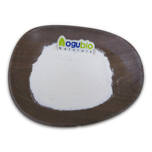 Polvo de <span class=keywords><strong>aguacate</strong></span> Precio de fábrica Suplemento nutricional Polvo de <span class=keywords><strong>aguacate</strong></span> soluble en agua - Product Image 6