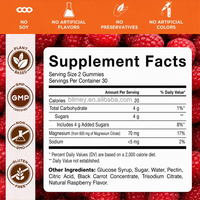 Gummies personnalisées pour la concentration cérébrale : Champignons, Magnésium Glycinate, Crinière de lion, Bacopa, Vitamine B12