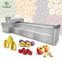 Machine industrielle automatique de décorticage et d'épépignage pour longanes, cerises, prunes et pruneaux, modèle Italiana