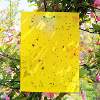 Planche à insectes collante double face Planche à insectes jaune Piège à insectes volants jaune Piège à mouches à fruits