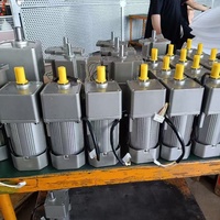 Réducteur de vitesse hélicoïdal avec petit moteur asynchrone à engrenages 40W~750W monophasé