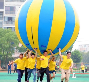 Pelota de <span class=keywords><strong>playa</strong></span> gigante inflable personalizada para deportes al aire libre, pelota inflable <span class=keywords><strong>grande</strong></span> de lona de PVC - Product Image 6