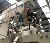 Machine d'emballage multi-têtes pour petits pains vapeur, boulettes de bœuf surgelées, siomai et autres garnitures en sachets