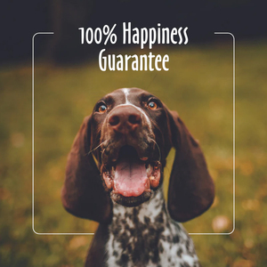 OEM Label pribadi semprotan Anti kunyah, semprotan anjing kucing tanpa kunyah - Product Image 3