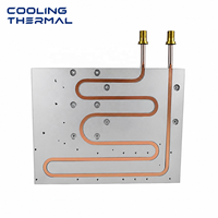 Plaque de refroidissement liquide sur mesure usinée CNC, de précision, pour refroidissement par eau