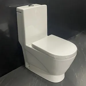 Rồng vàng thiết bị vệ sinh WC nhà vệ sinh chỗ ngồi