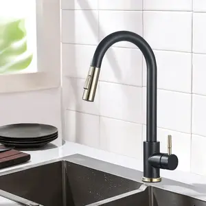 Rubinetto da cucina in acciaio inossidabile 304, rubinetto dell'acqua moderno, spruzzatore estraibile, rubinetti del lavandino del miscelatore, ottone nero 2021
