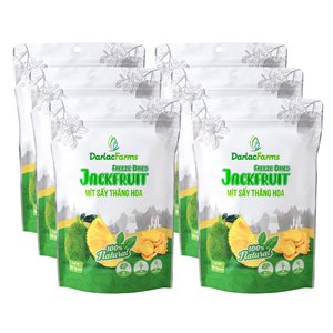 Sliced <b>Freeze</b>-<b>Dried</b> BRCGS ISO Certified FD Jackfruit 24-month Shelf Life Bulk Darlac Farms 100% Original Sweet Pale Gold Vietnam - Product Image 5