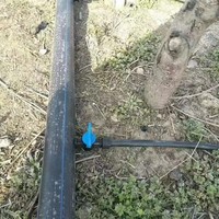Système d'irrigation automatique à économie d'eau pour la culture en serre, utilisant des tuyaux d'irrigation goutte à goutte en PE noir de 16 mm pour un arrosage efficace