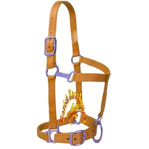 2024 nouveau sur mesure Style occidental cheval bride licou basique Nylon Polyester Tack équipement en gros - Product Image 3