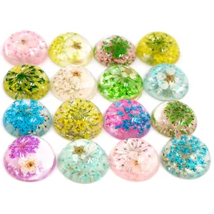 10 Buah/Lot 20Mm Multiwarna Bunga Kering Alami Resin Cabochons Cameo Dome DIY Perhiasan Persediaan Temuan Grosir