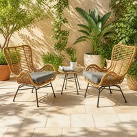 Chaise longue moderne empilable en rotin plastique, siège portable pour patio extérieur, ensemble de salle à manger pour patio, mobilier de jardin extérieur imperméable
